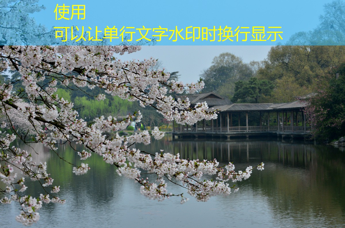 不同類(lèi)型紅外報(bào)警器的特點(diǎn)比較