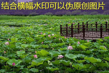 企業(yè)門(mén)禁考勤管理的關(guān)鍵要素