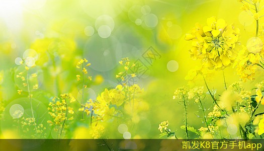 利用集團(tuán)電話實(shí)現(xiàn)團(tuán)隊(duì)協(xié)作新模式